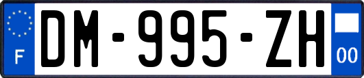 DM-995-ZH