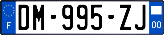 DM-995-ZJ