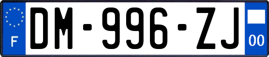 DM-996-ZJ