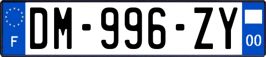 DM-996-ZY