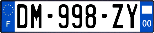 DM-998-ZY