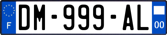 DM-999-AL