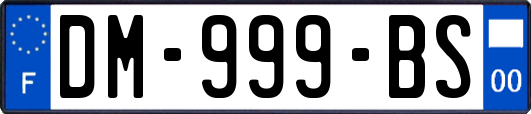 DM-999-BS