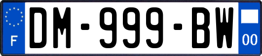 DM-999-BW