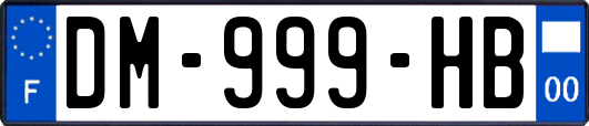 DM-999-HB