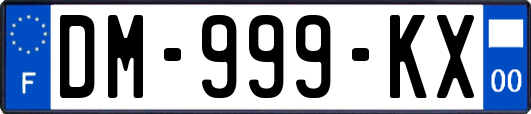DM-999-KX