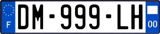 DM-999-LH