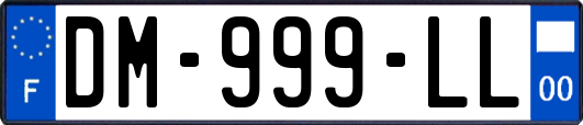 DM-999-LL