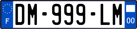 DM-999-LM