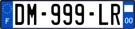 DM-999-LR