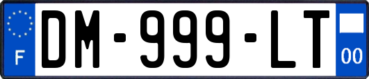 DM-999-LT