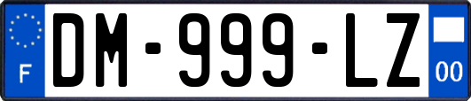 DM-999-LZ