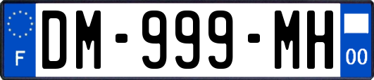 DM-999-MH