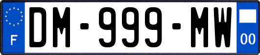DM-999-MW