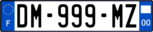 DM-999-MZ