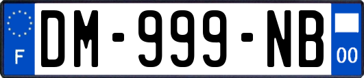 DM-999-NB