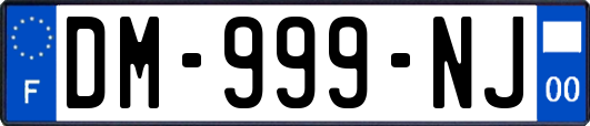 DM-999-NJ