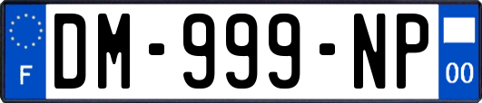 DM-999-NP