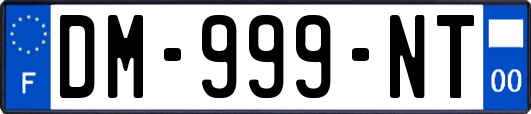 DM-999-NT