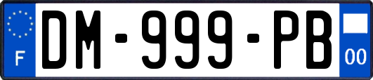 DM-999-PB