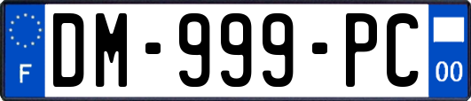 DM-999-PC