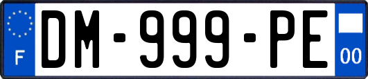 DM-999-PE
