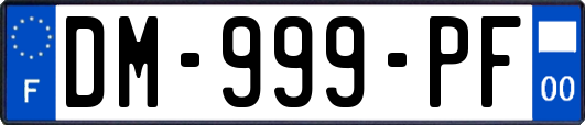 DM-999-PF
