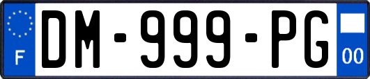 DM-999-PG