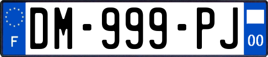 DM-999-PJ