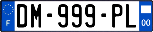 DM-999-PL