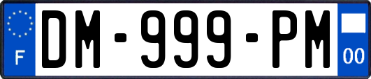 DM-999-PM