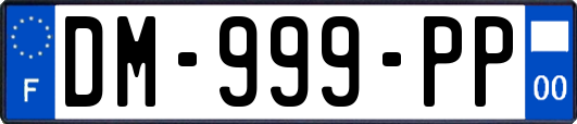 DM-999-PP