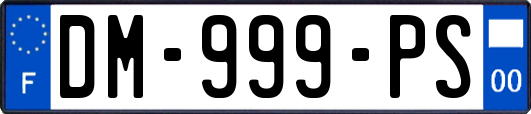 DM-999-PS