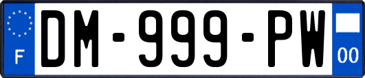 DM-999-PW