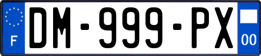 DM-999-PX
