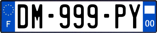 DM-999-PY