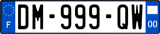DM-999-QW
