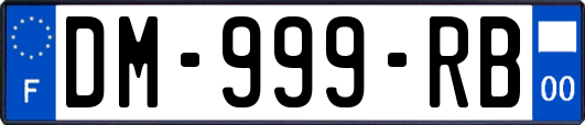 DM-999-RB