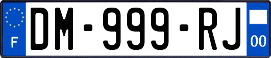 DM-999-RJ