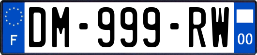DM-999-RW