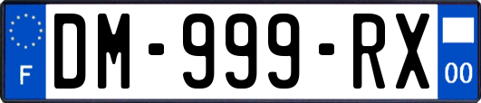 DM-999-RX