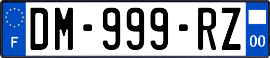DM-999-RZ