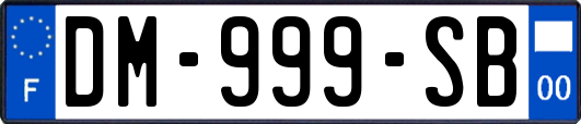 DM-999-SB
