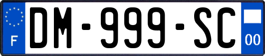 DM-999-SC