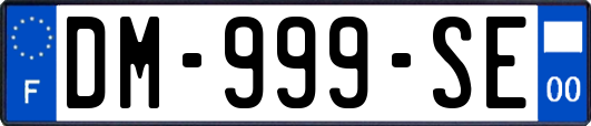 DM-999-SE