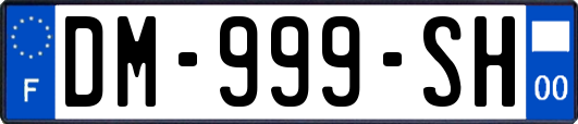DM-999-SH