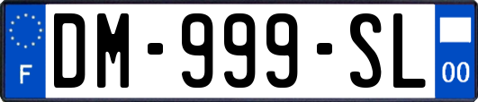 DM-999-SL