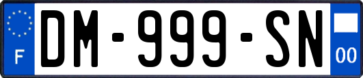 DM-999-SN