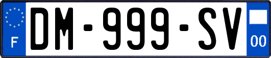 DM-999-SV