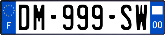 DM-999-SW